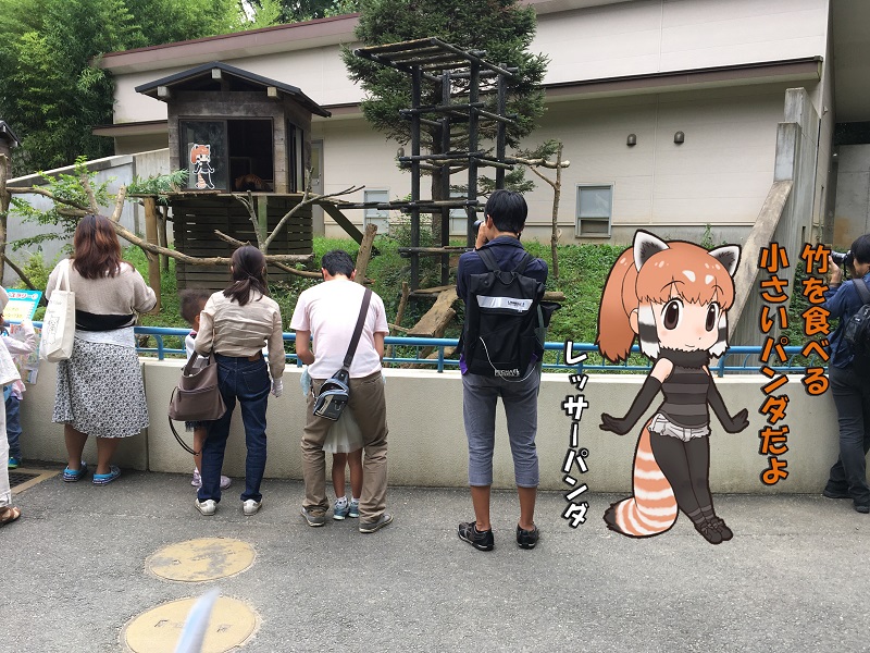 ts ̃tY bT[p_