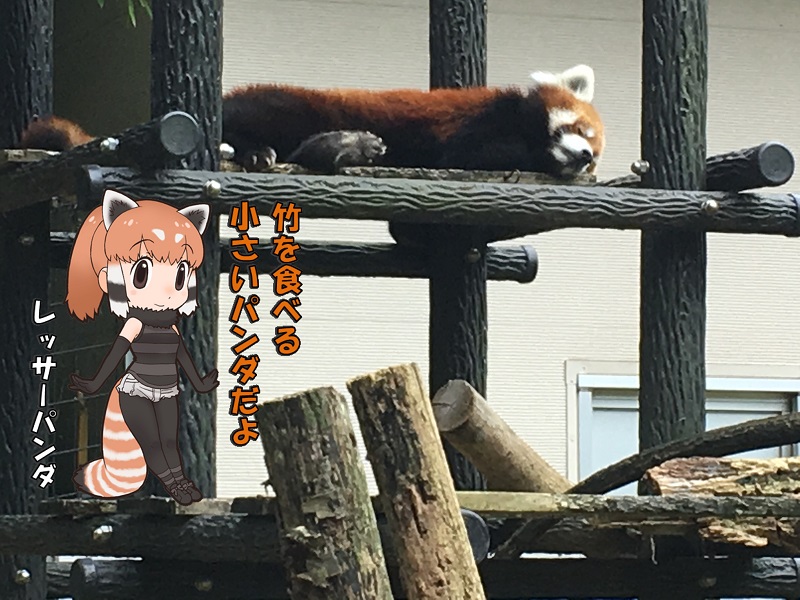 ts ̃tY bT[p_
