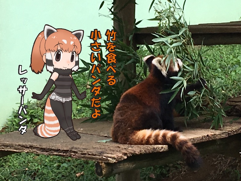 ts ̃tY bT[p_