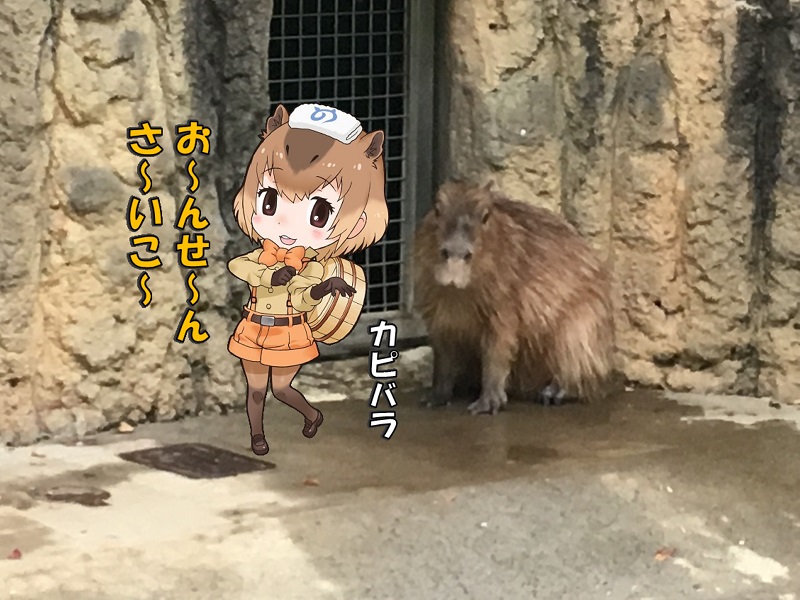 ts ̃tY Jso