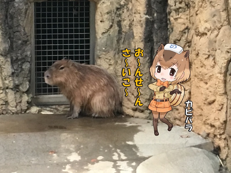 ts ̃tY Jso