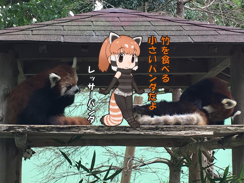 ts ̃tY bT[p_