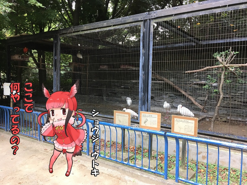 ts ̃tY VEWEgL