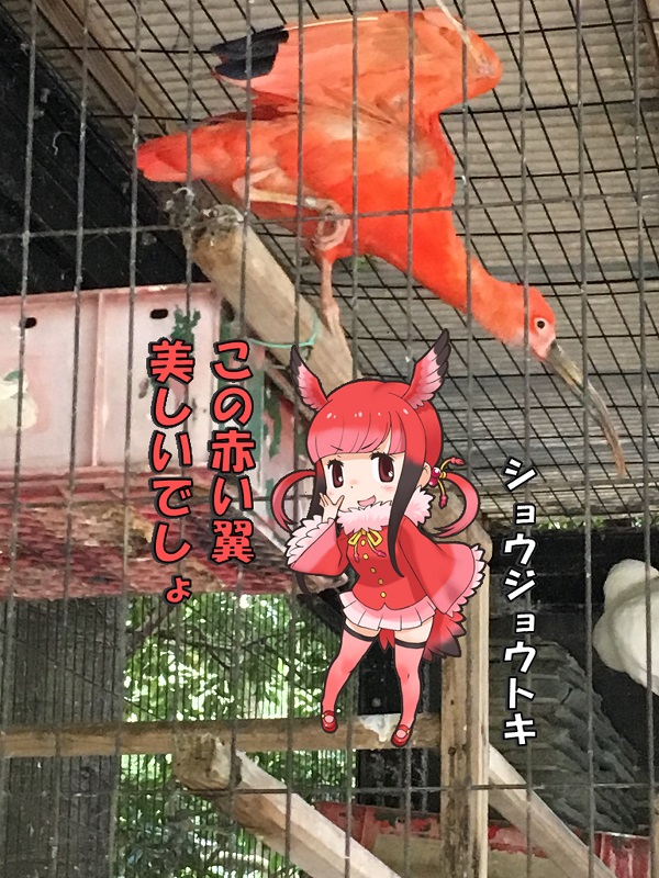 ts ̃tY VEWEgL
