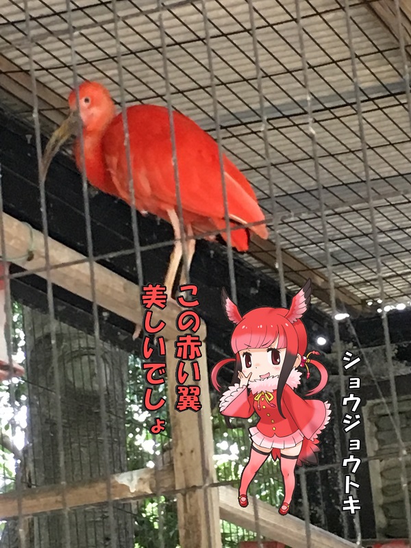 ts ̃tY VEWEgL
