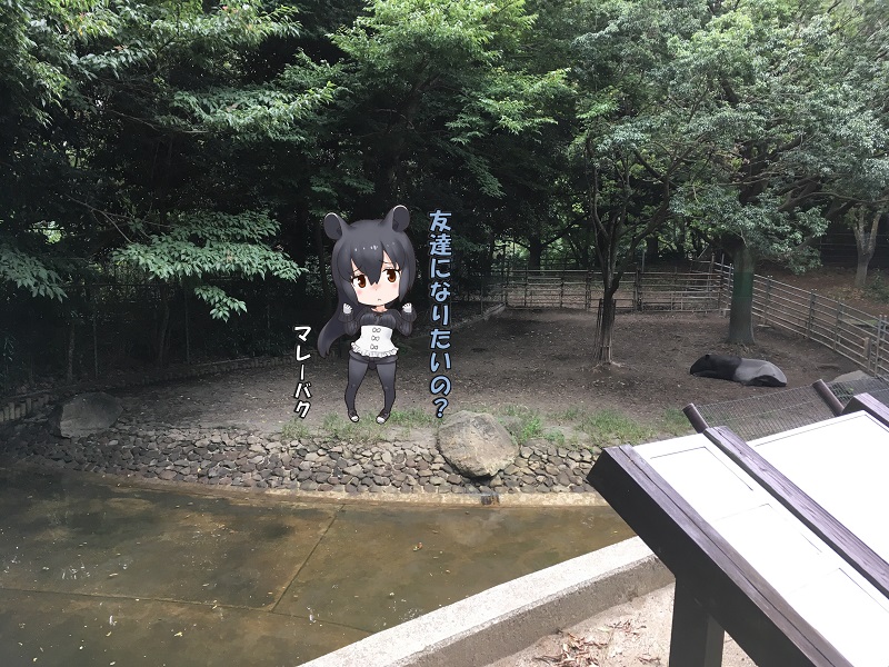 ts ̃tY }[oN
