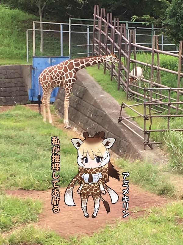 ts ̃tY A~L