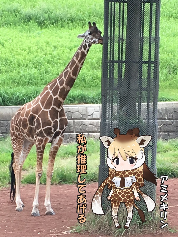 ts ̃tY A~L