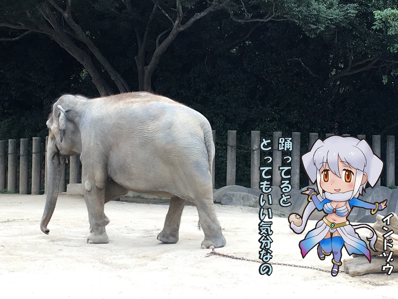 ts ̃tY Ch]E