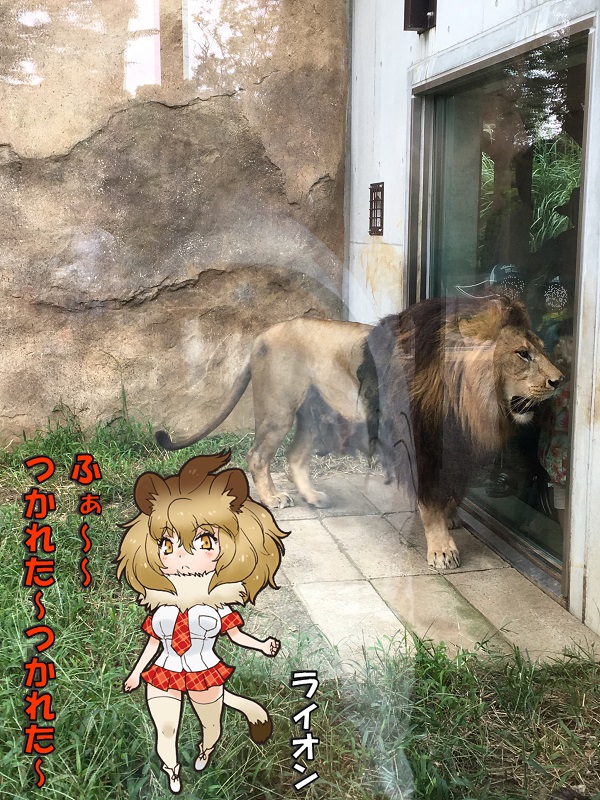 ts ̃tY CI