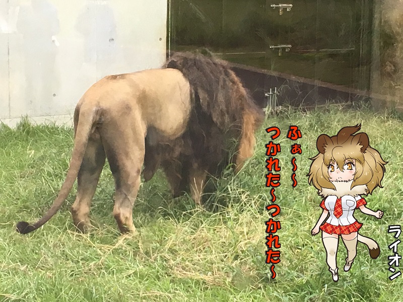 ts ̃tY CI