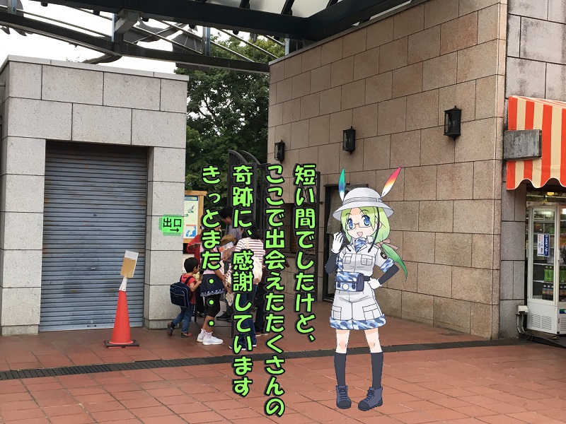ts ̃tY ݂炢
