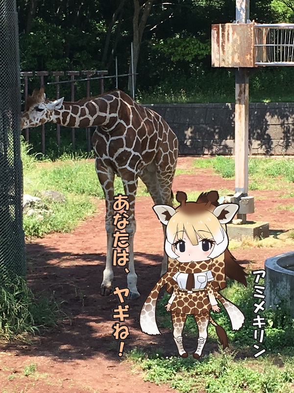 ̃tY ts A~L L