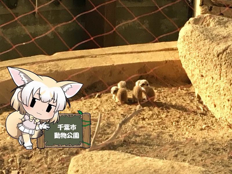 ̃tY ts ~[ALbg