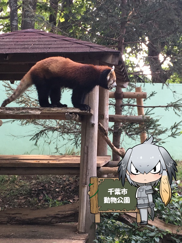 ̃tY ts bT[p_