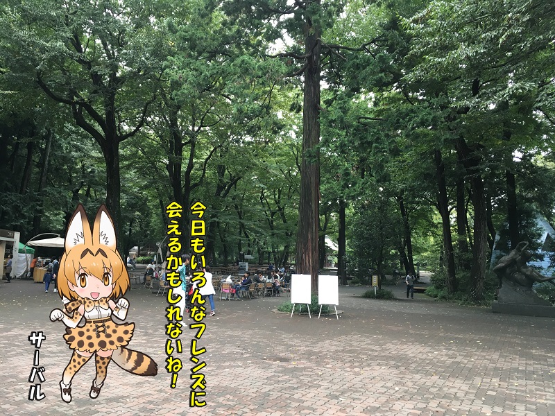 ̓R ̃tY 