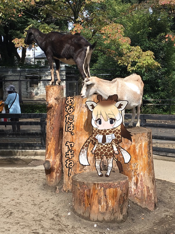 ̓R ̃tY M