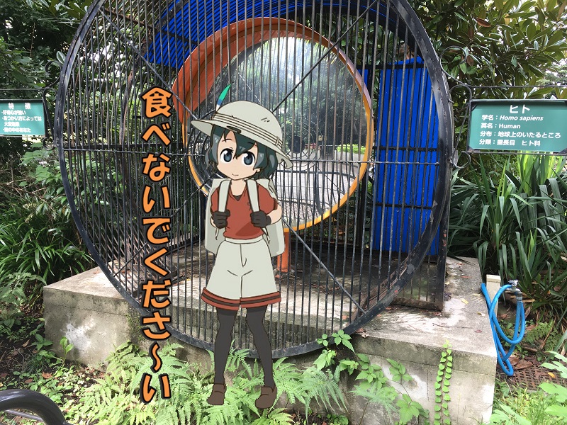 ̓R ̃tY qg