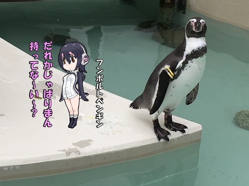 ̓R ̃tY t{gyM