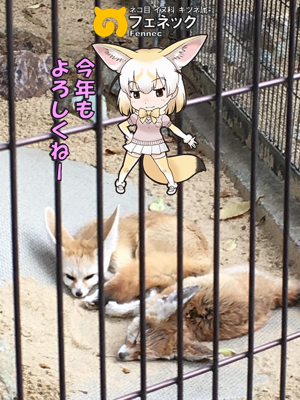 ̓R ̃tY tFlbN N