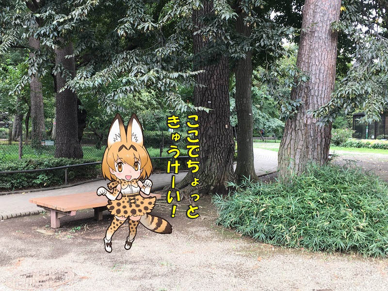 ̓R ̃tY xe