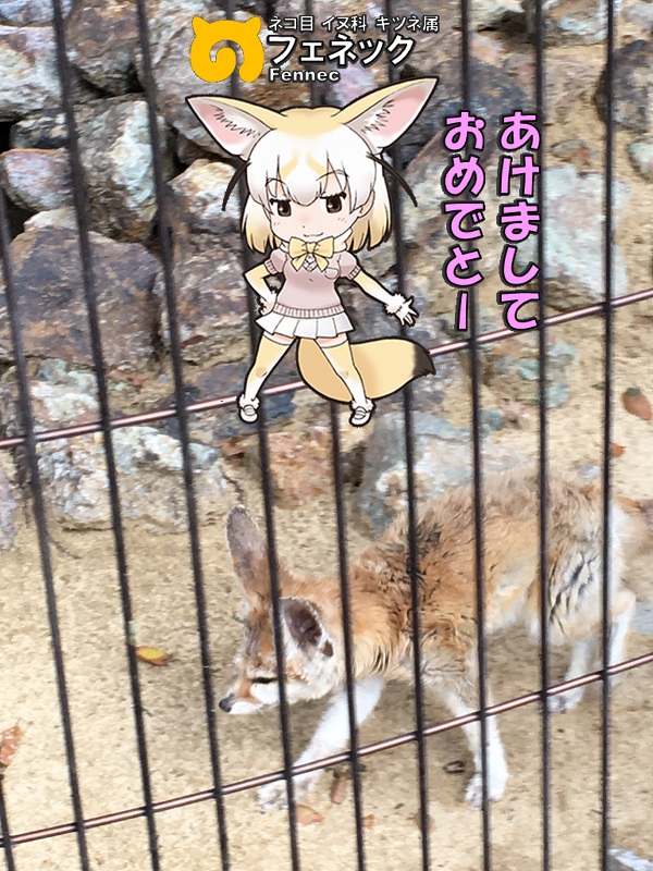 ̓R ̃tY tFlbN N