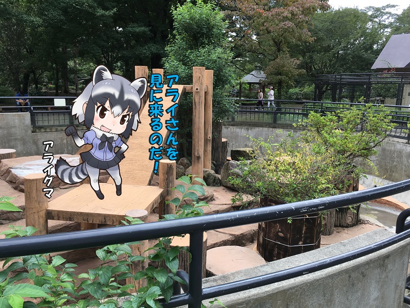 ̓R ̃tY ACO}
