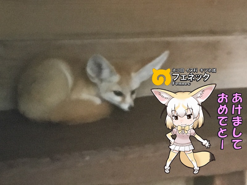 ̓R ̃tY tFlbN N