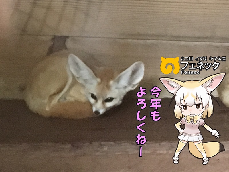 ̓R ̃tY tFlbN N