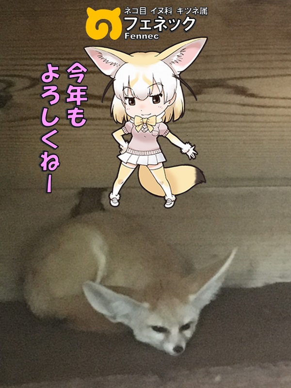 ̓R ̃tY tFlbN N