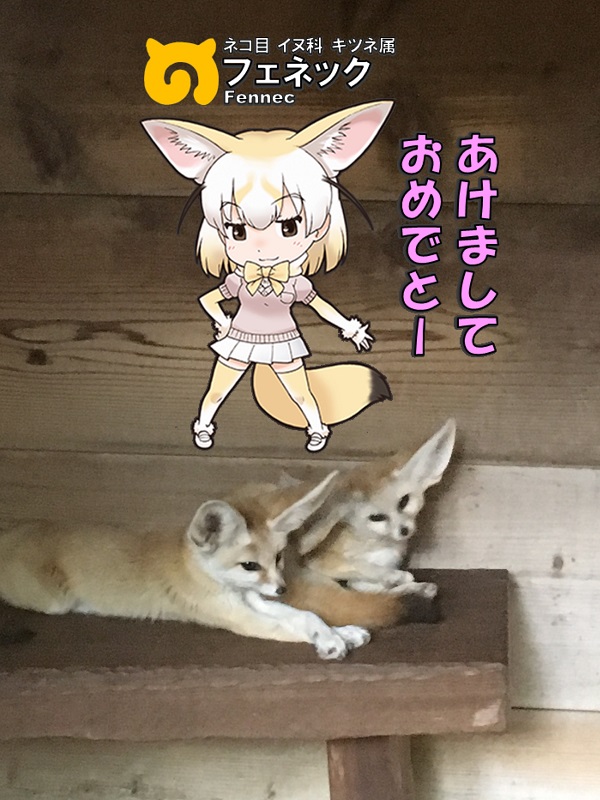 ̓R ̃tY tFlbN N
