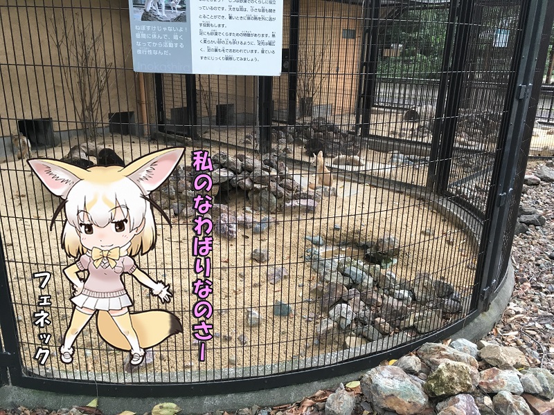 ̓R ̃tY tFlbN