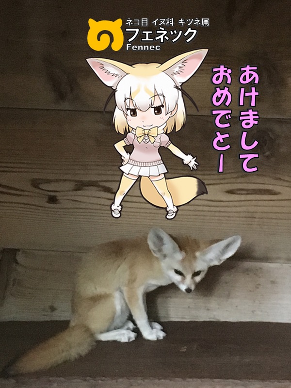 ̓R ̃tY tFlbN N