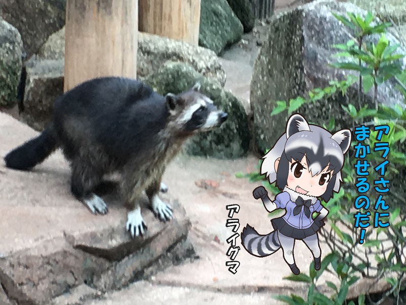 ̓R ̃tY ACO}