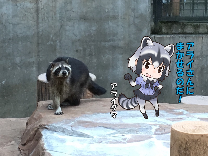 ̓R ̃tY ACO}