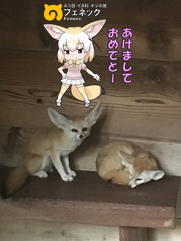 ̓R ̃tY tFlbN N