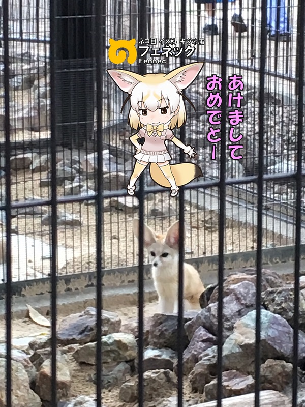 ̓R ̃tY tFlbN N