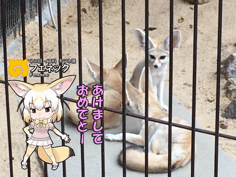 ̓R ̃tY tFlbN N
