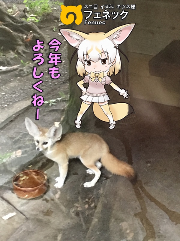 ̓R ̃tY tFlbN N