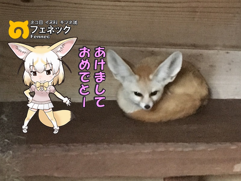 ̓R ̃tY tFlbN N