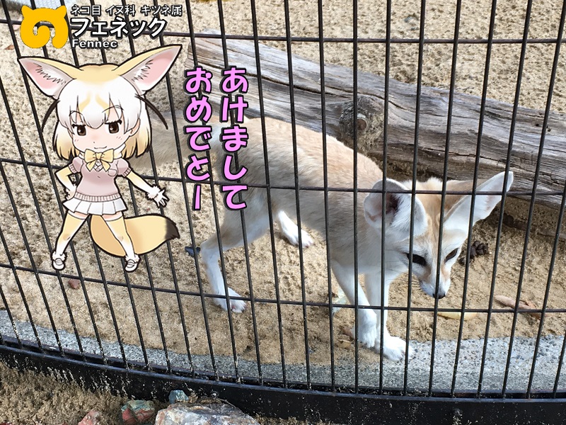 ̓R ̃tY tFlbN N