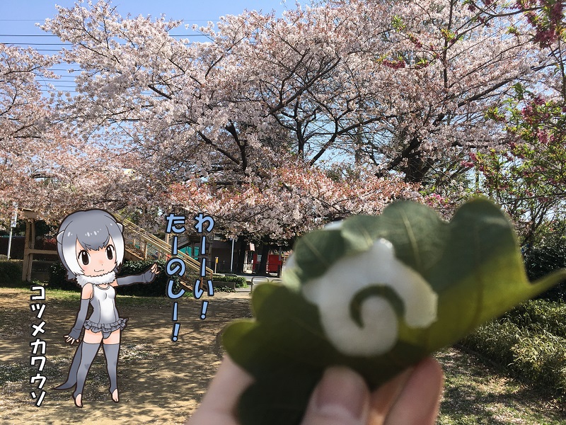 ̃tY 