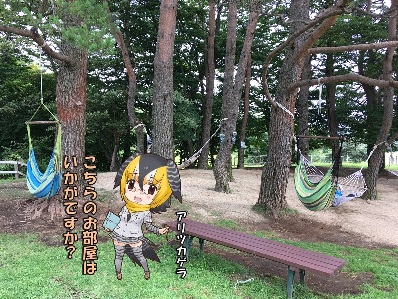 ߐ{ǂԂ ̃tY AcJQ nbN ӂӂ tt