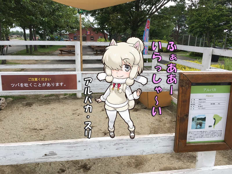 ߐ{ǂԂ ̃tY ApJ