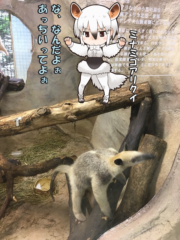 ߐ{ǂԂ ̃tY ~i~RANC