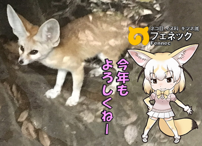 ̃tY N tFlbN