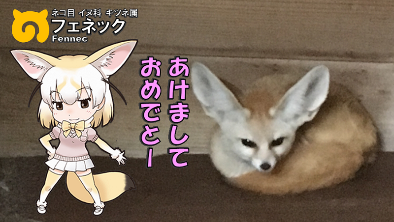 ̃tY N tFlbN