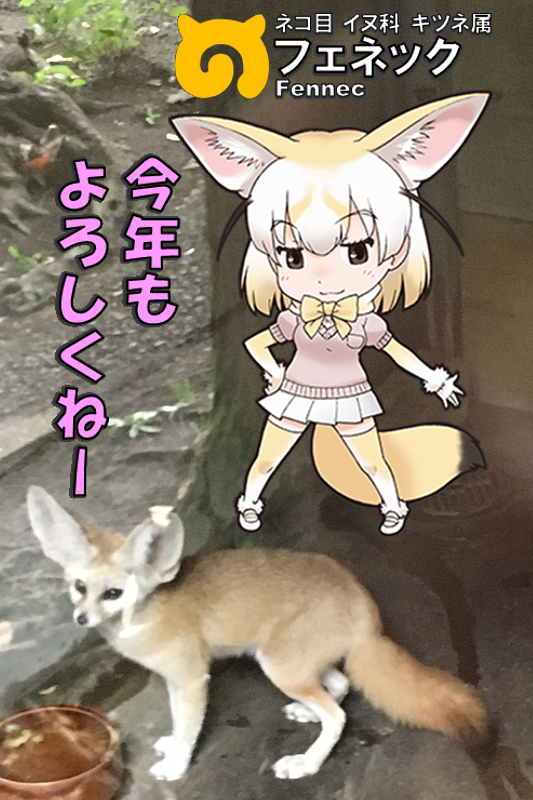 ̃tY N tFlbN