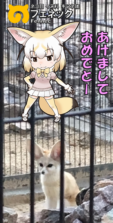 ̃tY N tFlbN