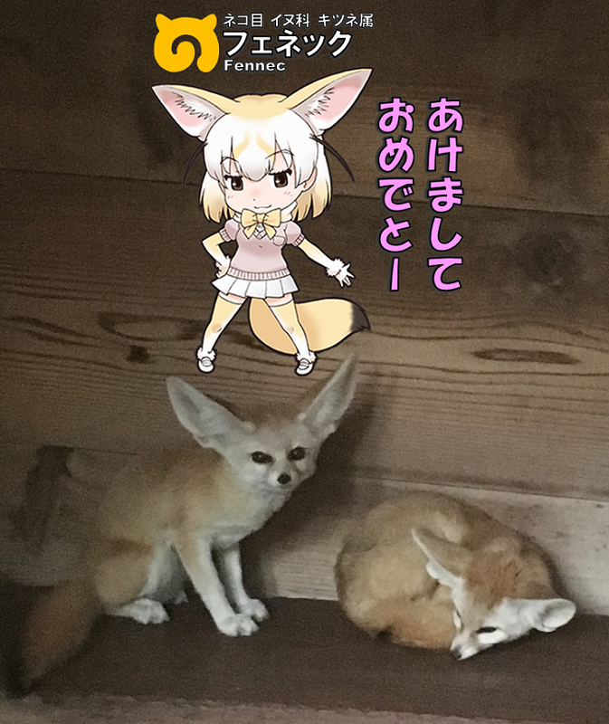 ̃tY N tFlbN